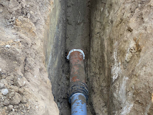 Best Professional water damage repair  in Springboro, OH