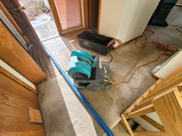 Best Water damage contractors near me  in Springboro, OH