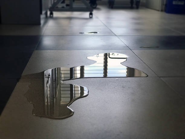 Reliable Springboro, OH Water damage restoration Solutions