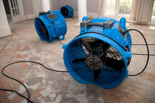 Best Sewage cleanup and water damage restoration  in Springboro, OH