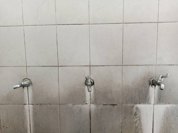 Best Basement water damage restoration  in Springboro, OH