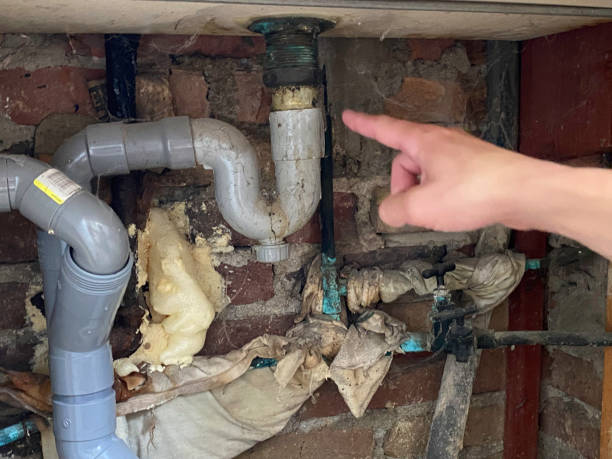 Best Flood restoration services  in Springboro, OH
