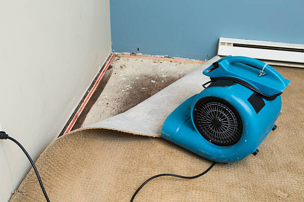 Best Fire Damage Restoration  in Springboro, OH